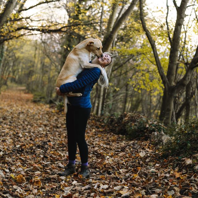 Reha mit Hund
